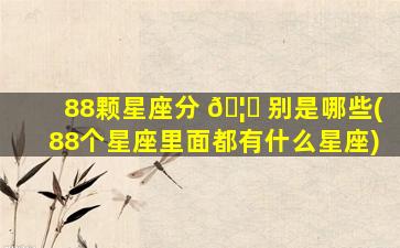 88颗星座分 🦄 别是哪些(88个星座里面都有什么星座)